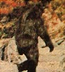 foot2.jpg (10393 bytes)