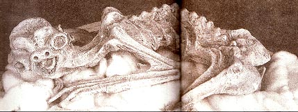kaba2.jpg (33159 bytes)