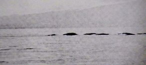 ogopogo.jpg (27657 bytes)